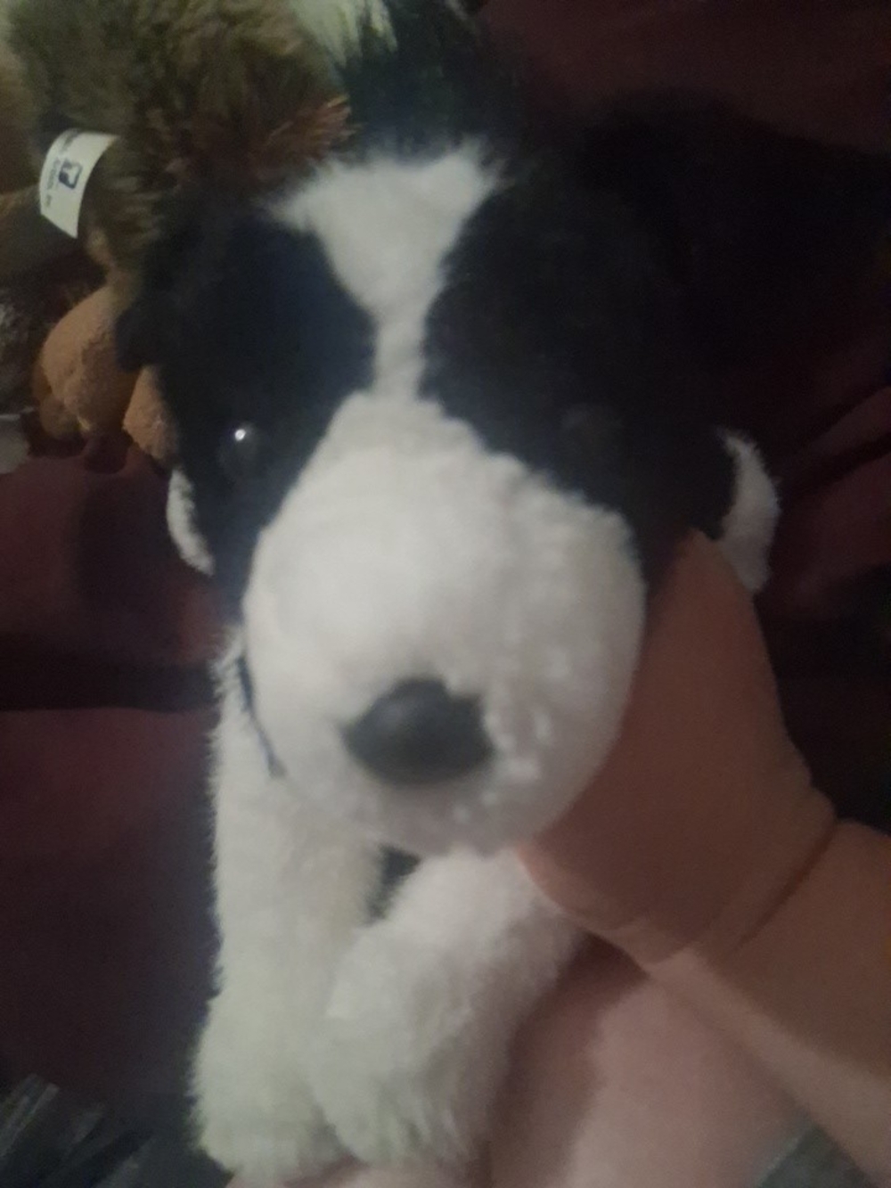 Plush Black & White Dog Toy - Soft Pet Plush